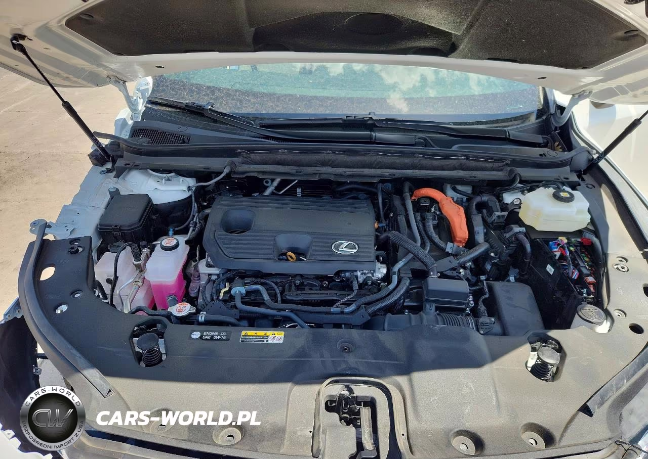 2025 Lexus Rx 350H Premium VIN:2T2BBMCA0SC088793 - 12