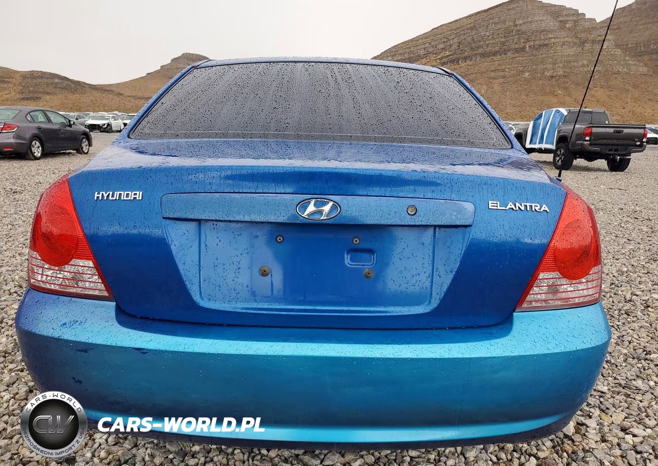 2004 Hyundai Elantra VIN:KMHDN46D14U873335 - 6