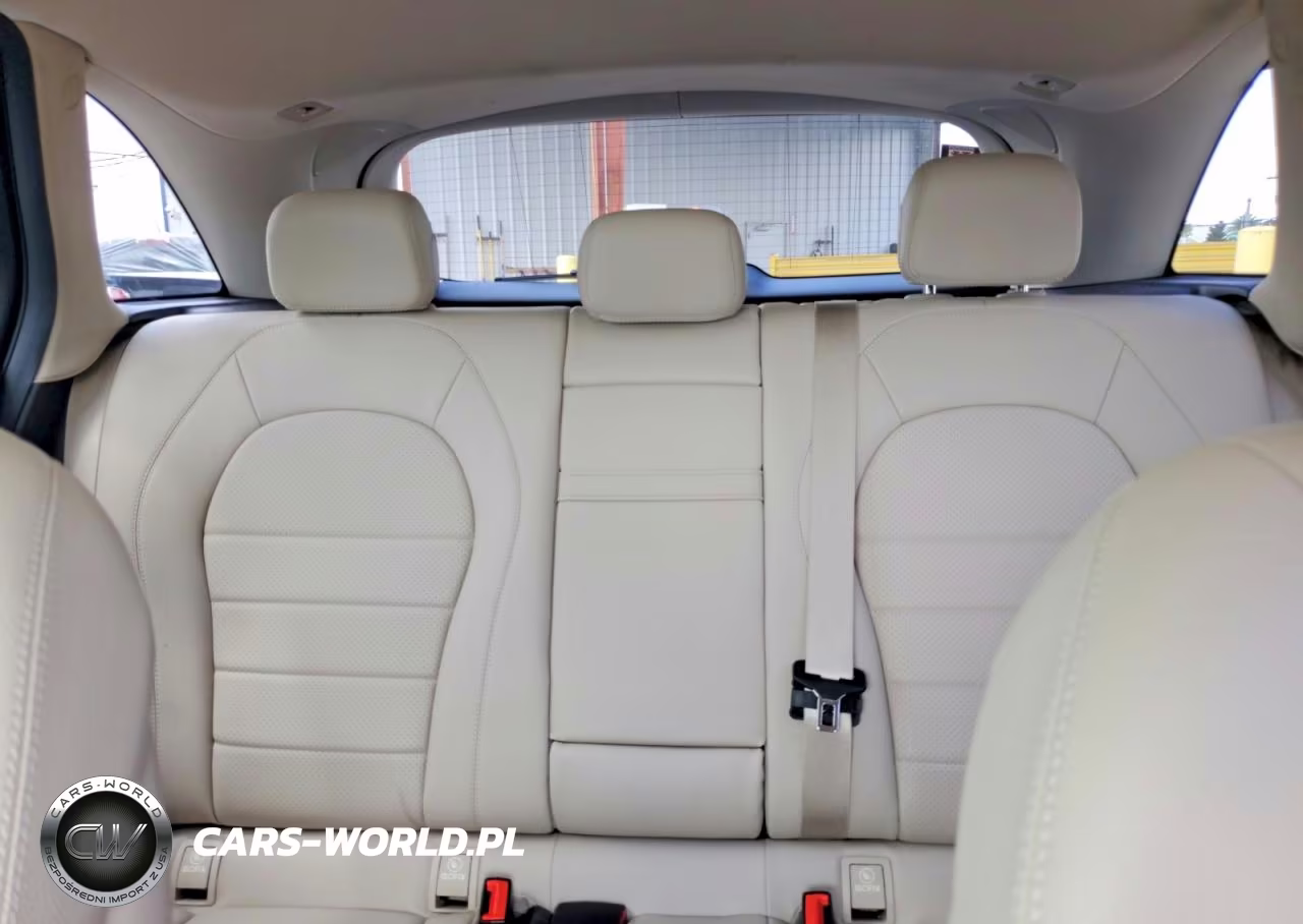 2016 Mercedes-Benz Glc 300 VIN:WDC0G4JB8GF113490 - 10