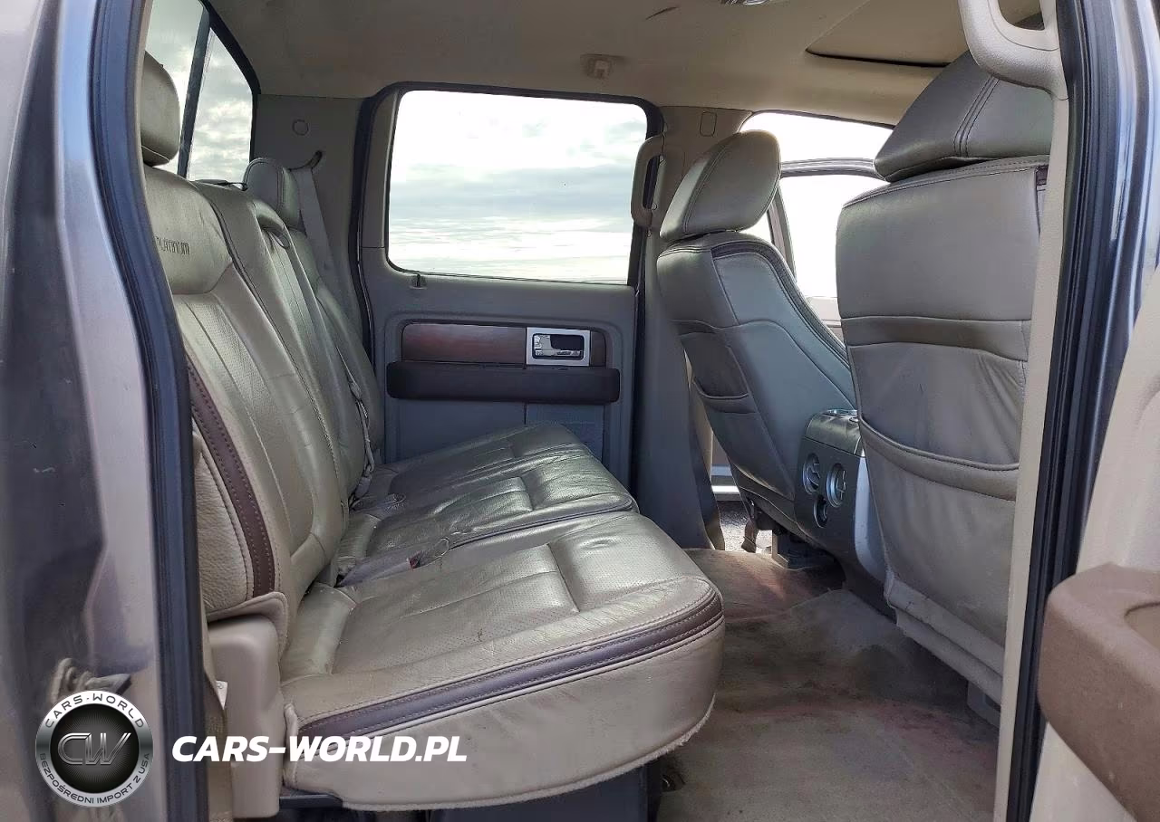 2009 Ford F150 Supercrew VIN:1FTPW14V59FA74680 - 10