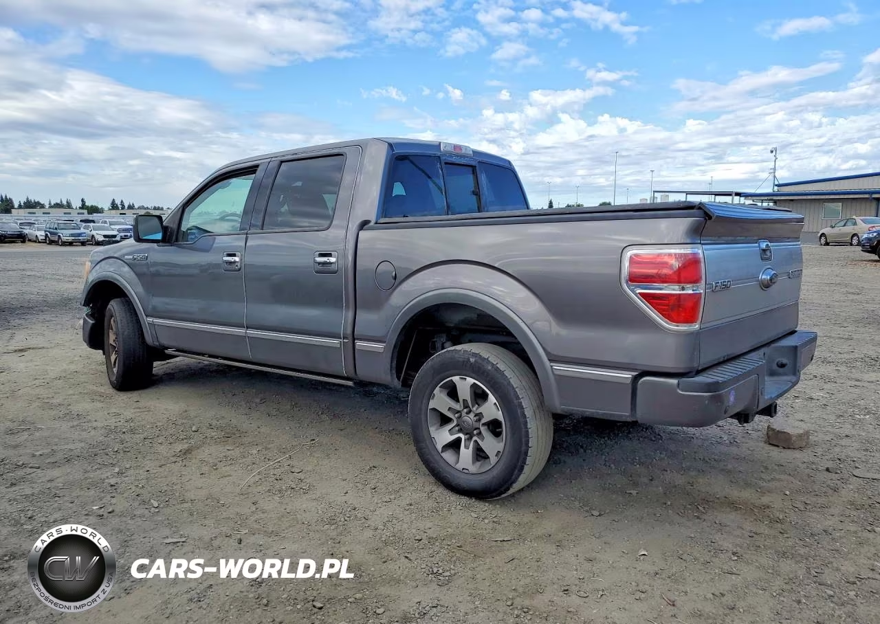 2009 Ford F150 Supercrew VIN:1FTPW14V59FA74680 - 2