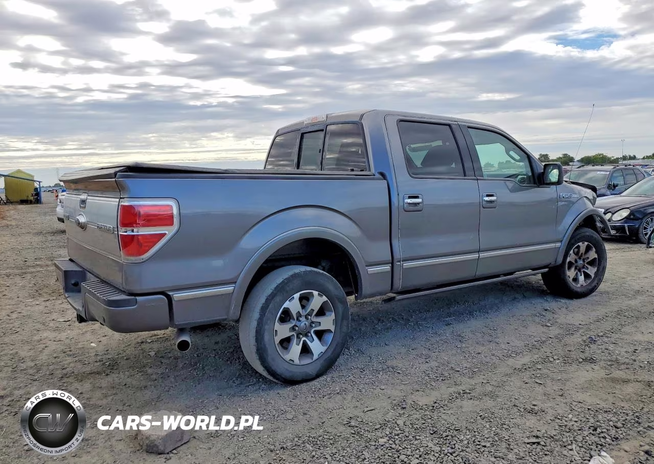 2009 Ford F150 Supercrew VIN:1FTPW14V59FA74680 - 3