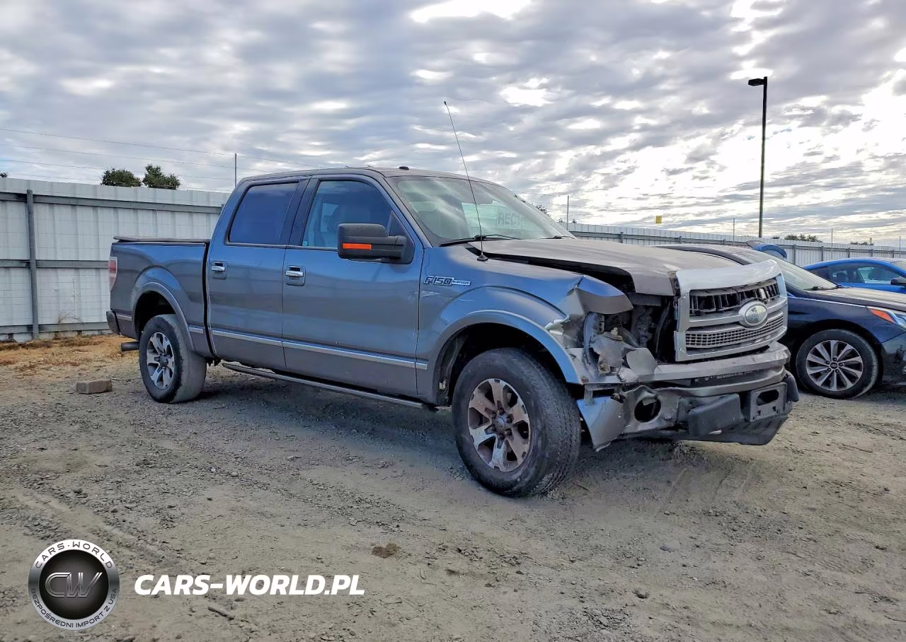 2009 Ford F150 Supercrew VIN:1FTPW14V59FA74680 - 4