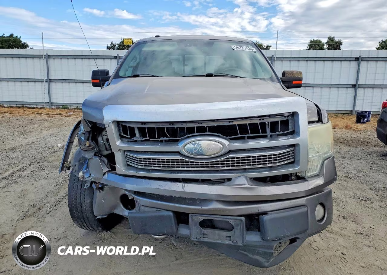 2009 Ford F150 Supercrew VIN:1FTPW14V59FA74680 - 5