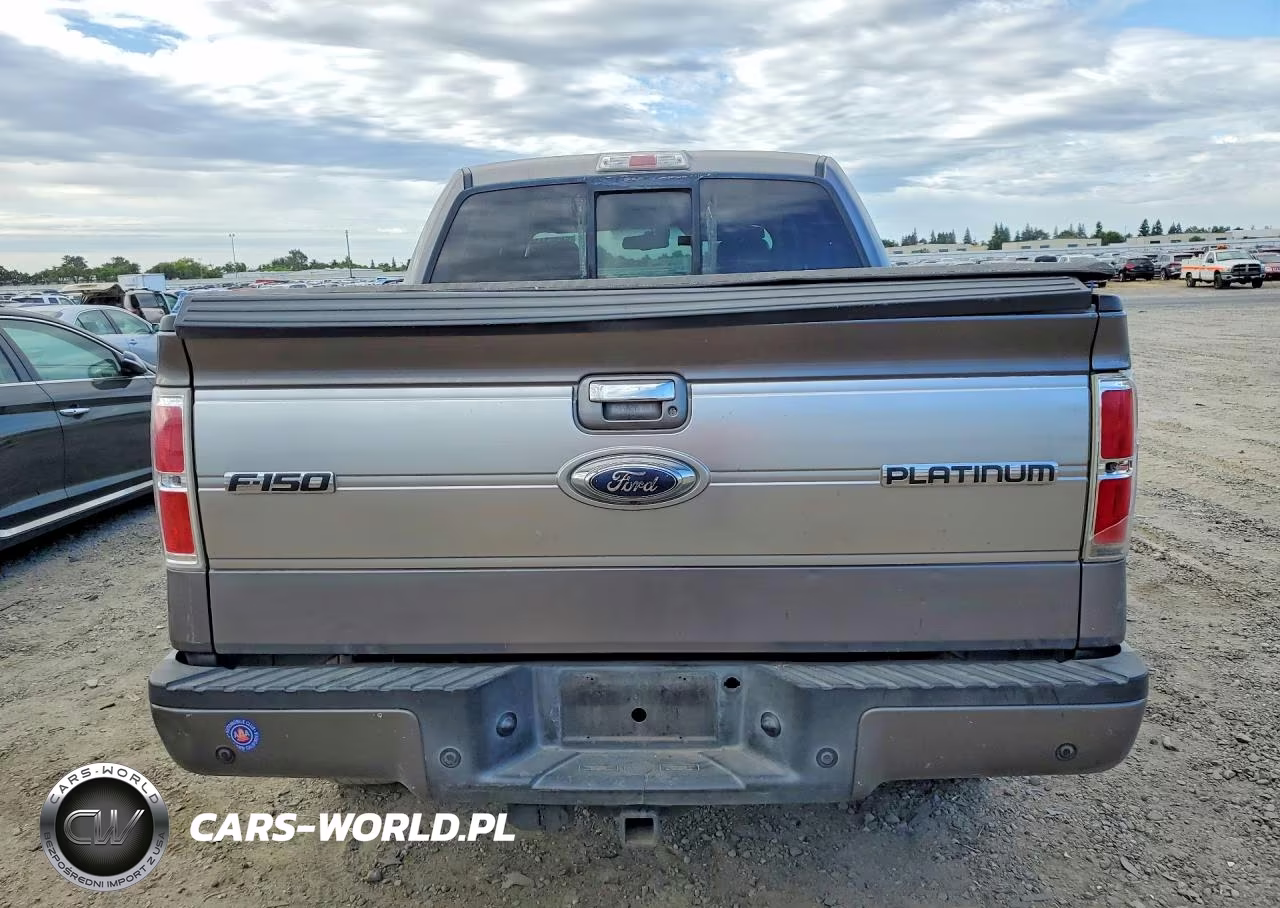 2009 Ford F150 Supercrew VIN:1FTPW14V59FA74680 - 6