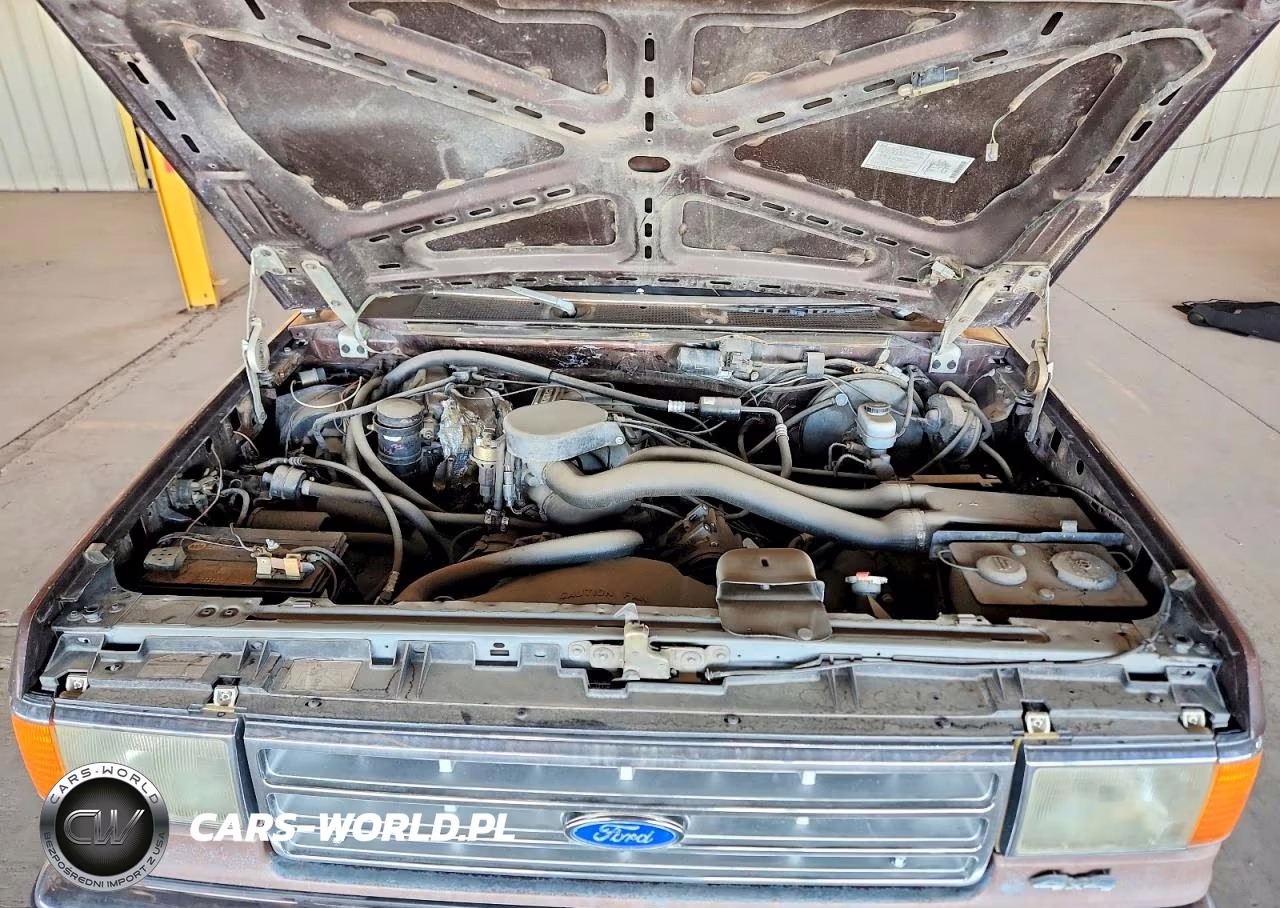 1990 Ford F150 VIN:1FTEX14N5LKA49183 - 11