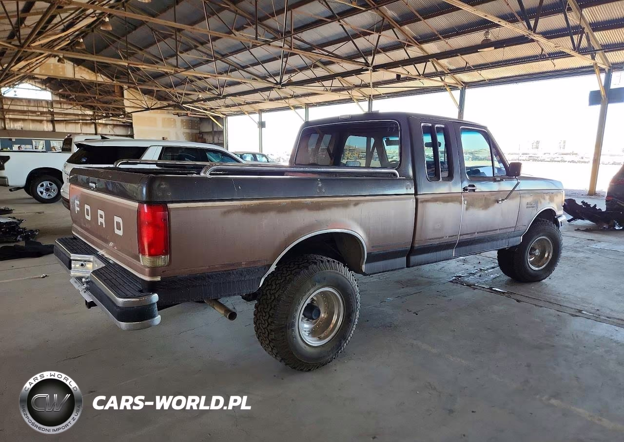 1990 Ford F150 VIN:1FTEX14N5LKA49183 - 3