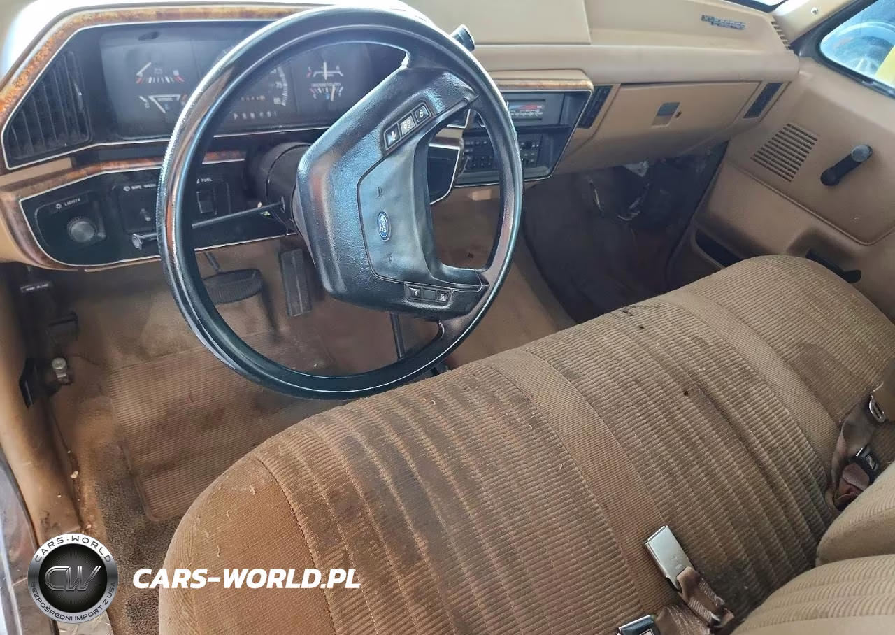 1990 Ford F150 VIN:1FTEX14N5LKA49183 - 8