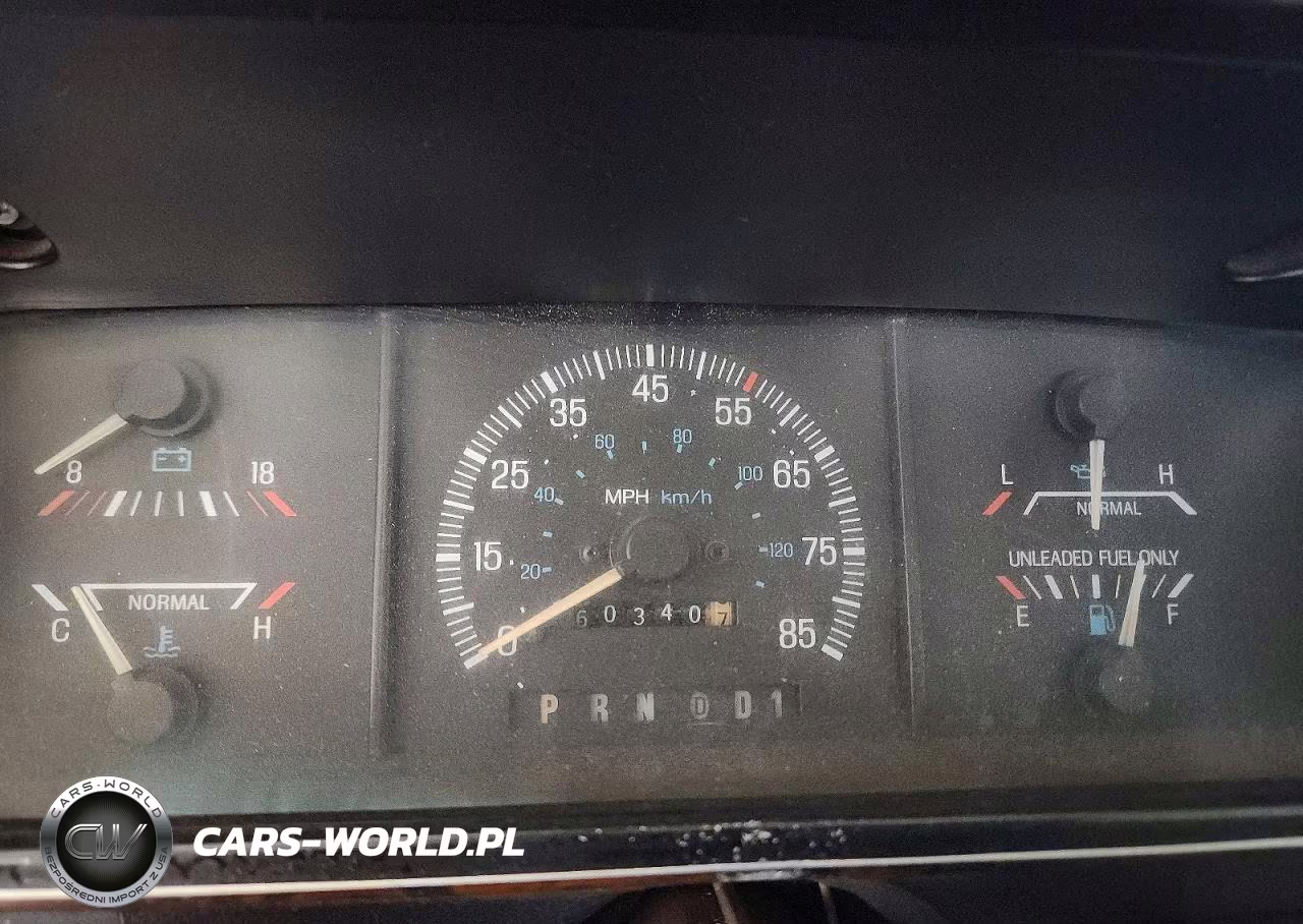 1990 Ford F150 VIN:1FTEX14N5LKA49183 - 9