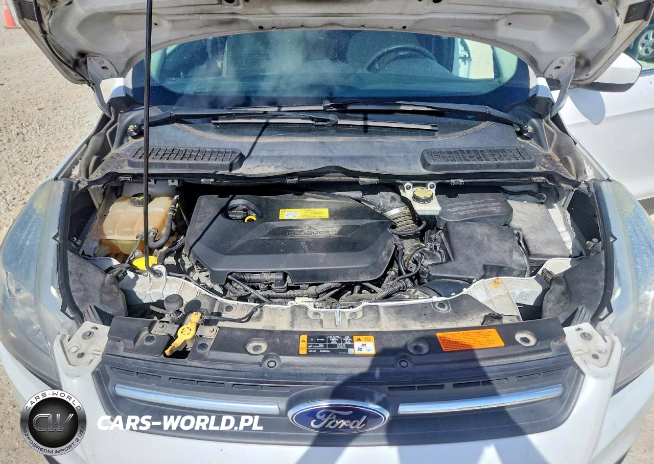 2014 Ford Escape Se VIN:1FMCU0GXXEUA21969 - 12