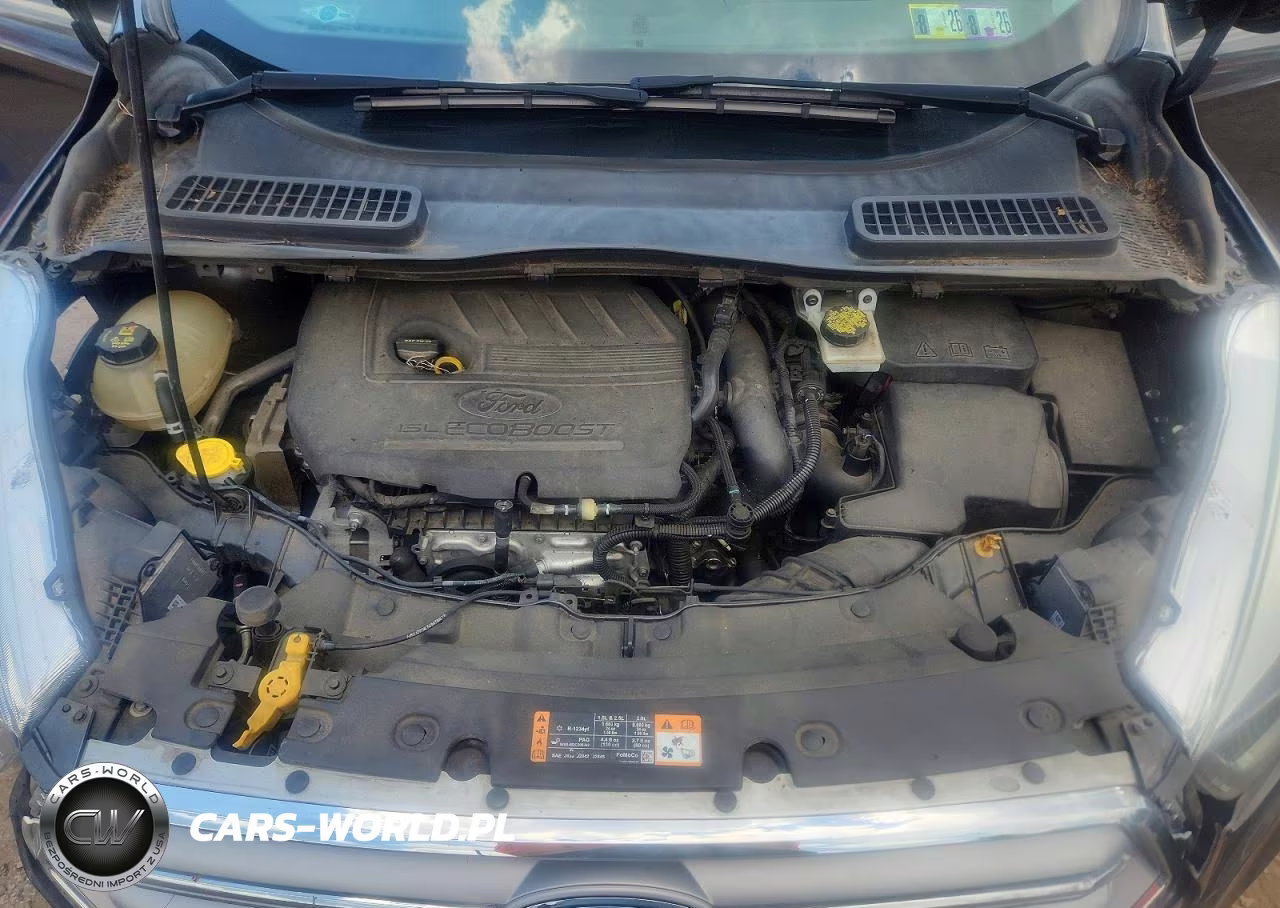 2017 Ford Escape Titanium VIN:1FMCU0JD4HUB19219 - 12