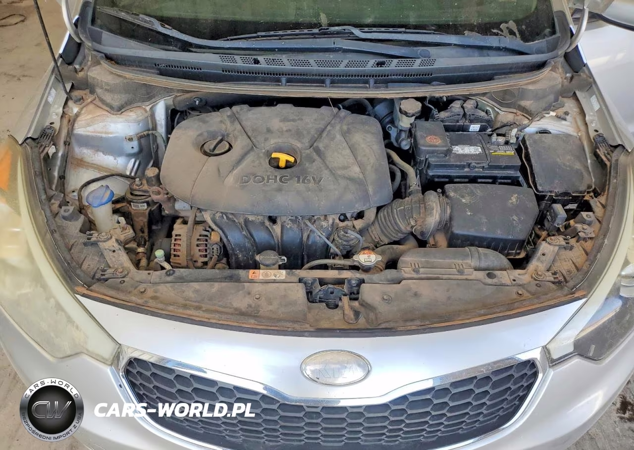 2014 Kia Forte Lx VIN:KNAFK4A65E5125551 - 11