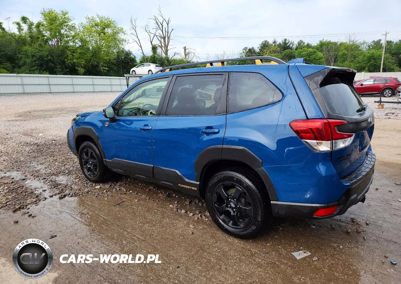 2022 Subaru Forester Wilderness VIN:JF2SKALC1NH423453 - 2