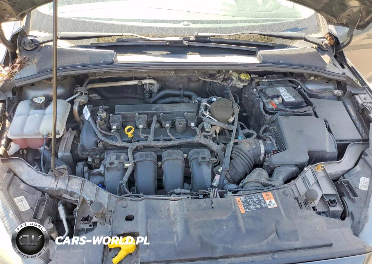 2015 Ford Focus Se VIN:1FADP3K25FL303821 - 12