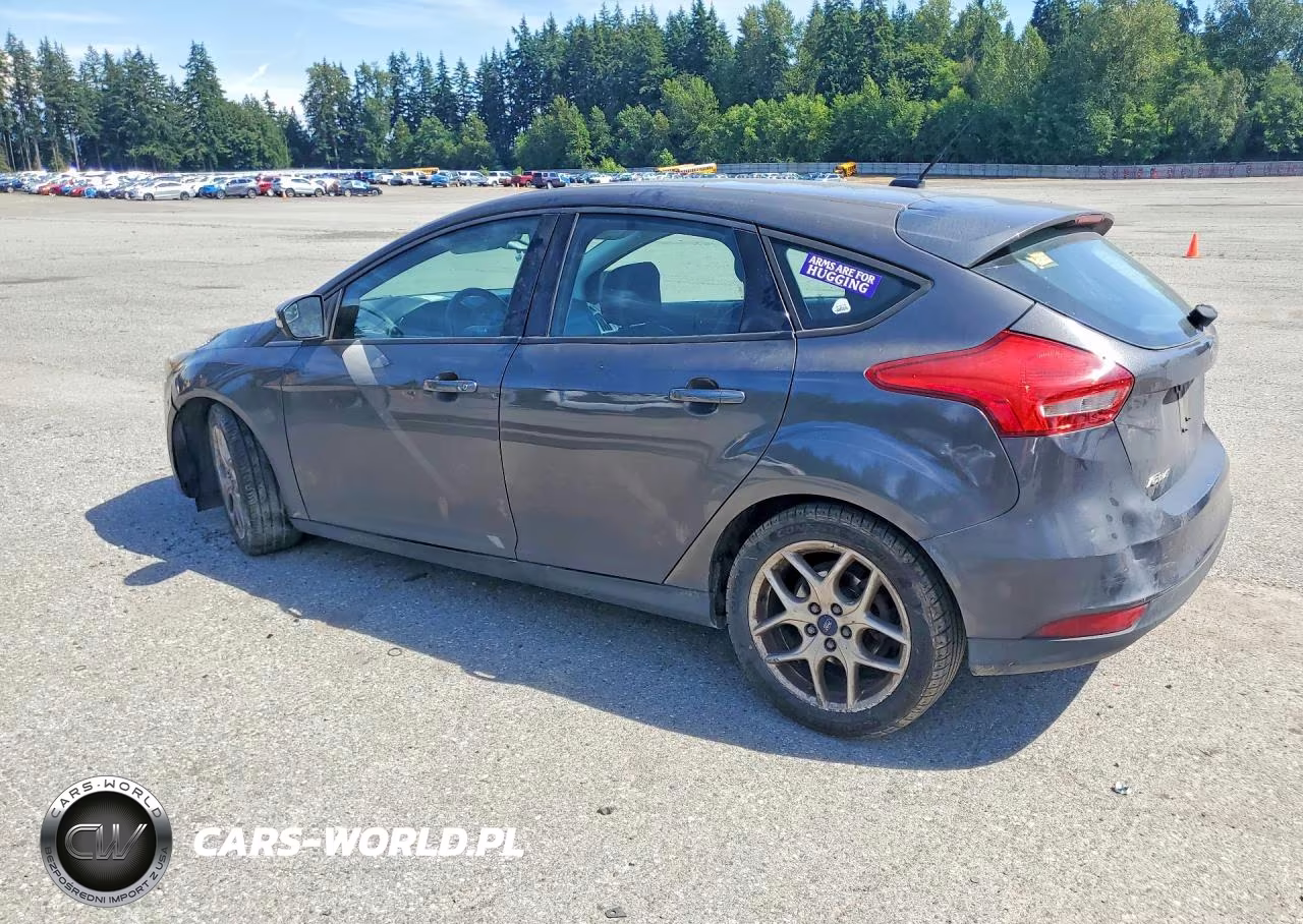 2015 Ford Focus Se VIN:1FADP3K25FL303821 - 2