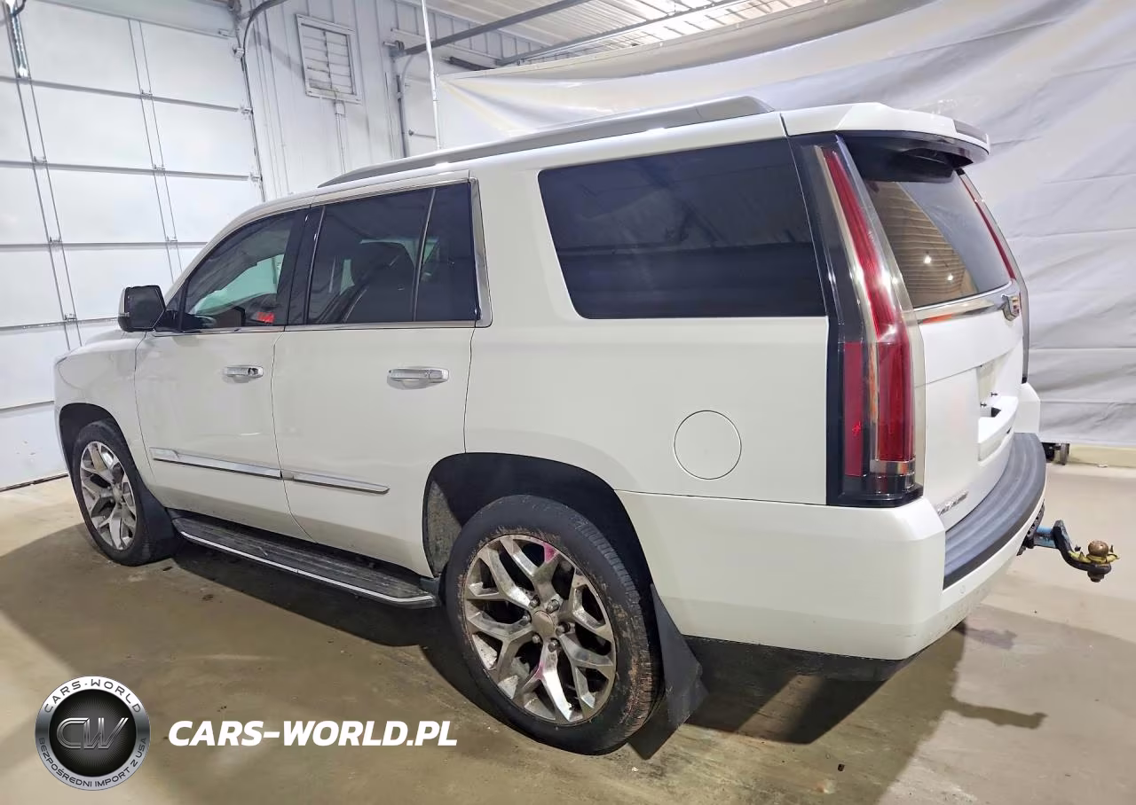 2016 Cadillac Escalade Luxury VIN:1GYS4BKJ3GR209862 - 2
