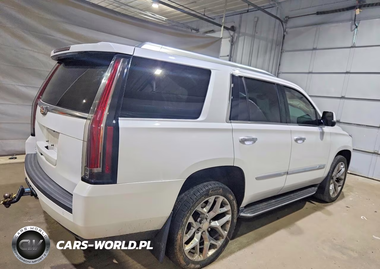 2016 Cadillac Escalade Luxury VIN:1GYS4BKJ3GR209862 - 3
