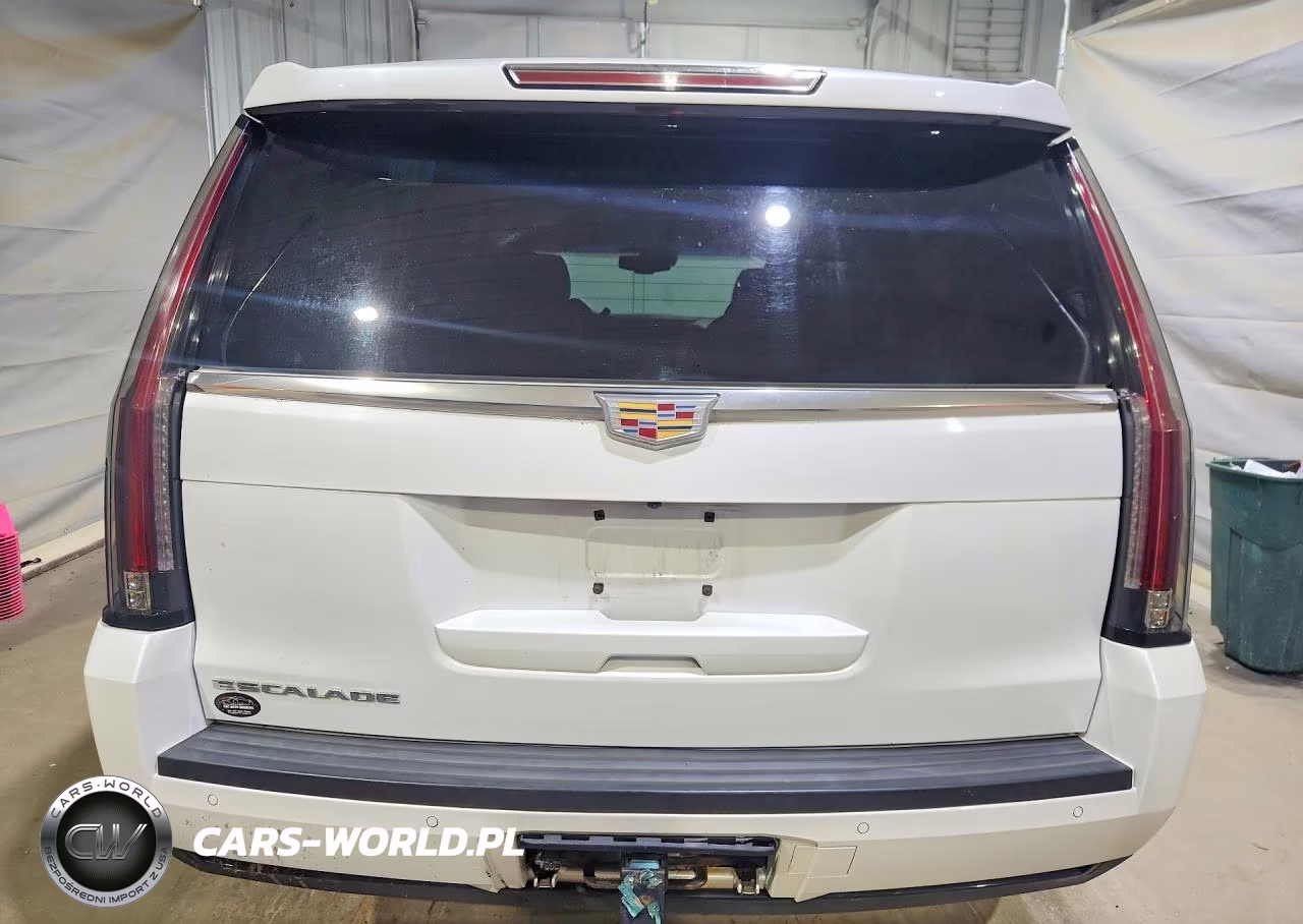 2016 Cadillac Escalade Luxury VIN:1GYS4BKJ3GR209862 - 6