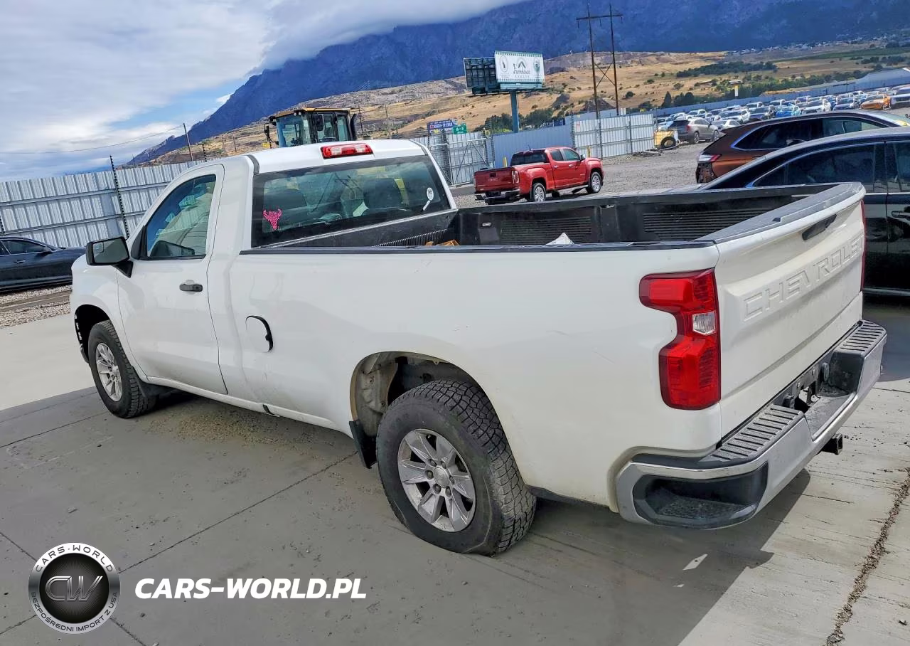 2019 Chevrolet Silverado C1500 VIN:3GCNWAEF3KG194593 - 2