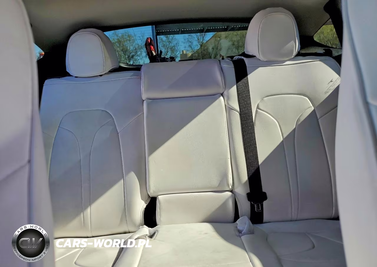 2024 Tesla Model Y VIN:7SAYGDEF2RF023834 - 10
