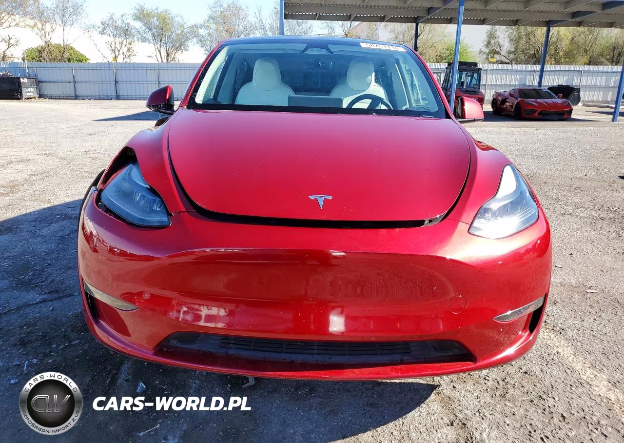 2024 Tesla Model Y VIN:7SAYGDEF2RF023834 - 5