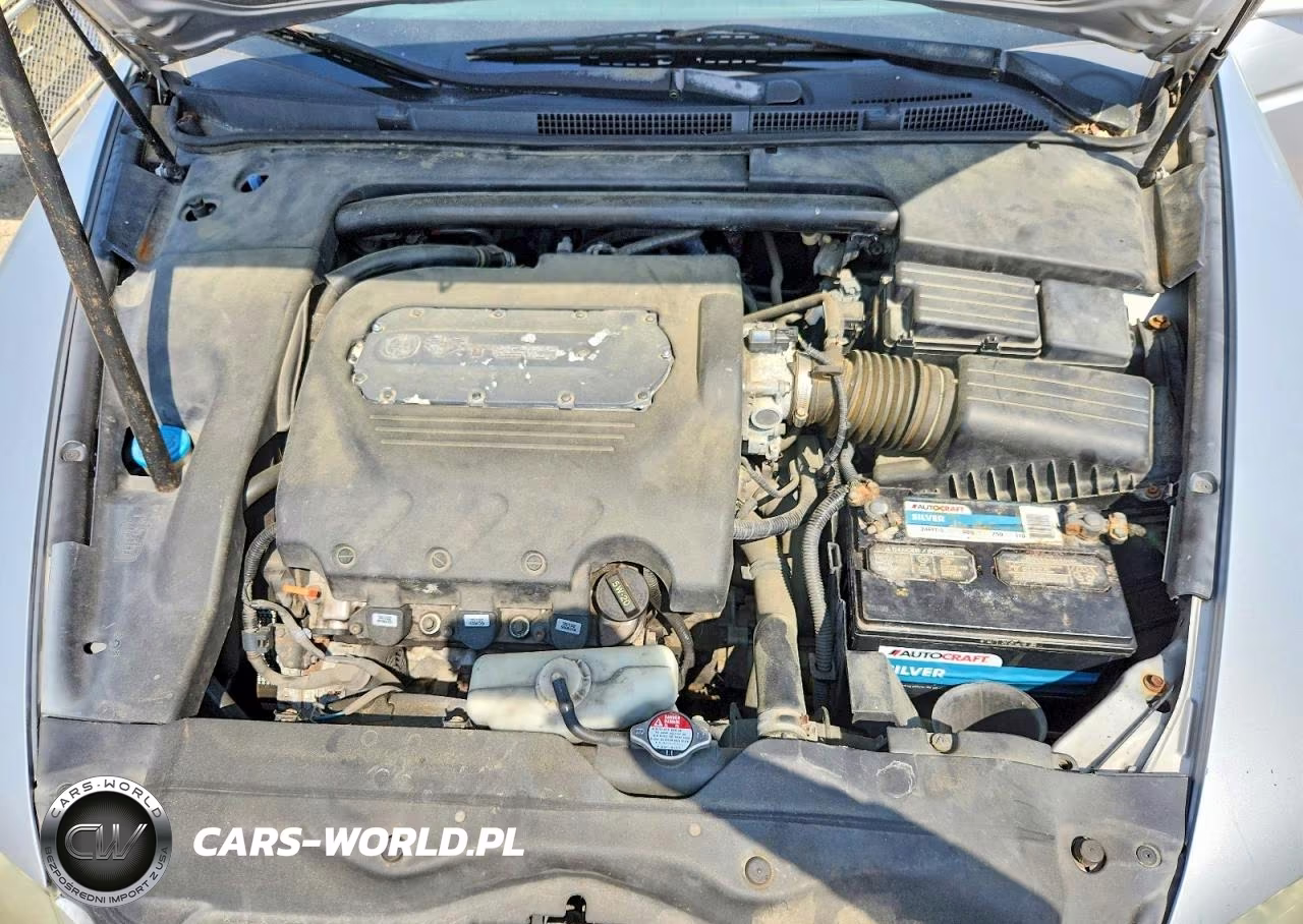2004 Acura Tl VIN:19UUA65584A043489 - 11