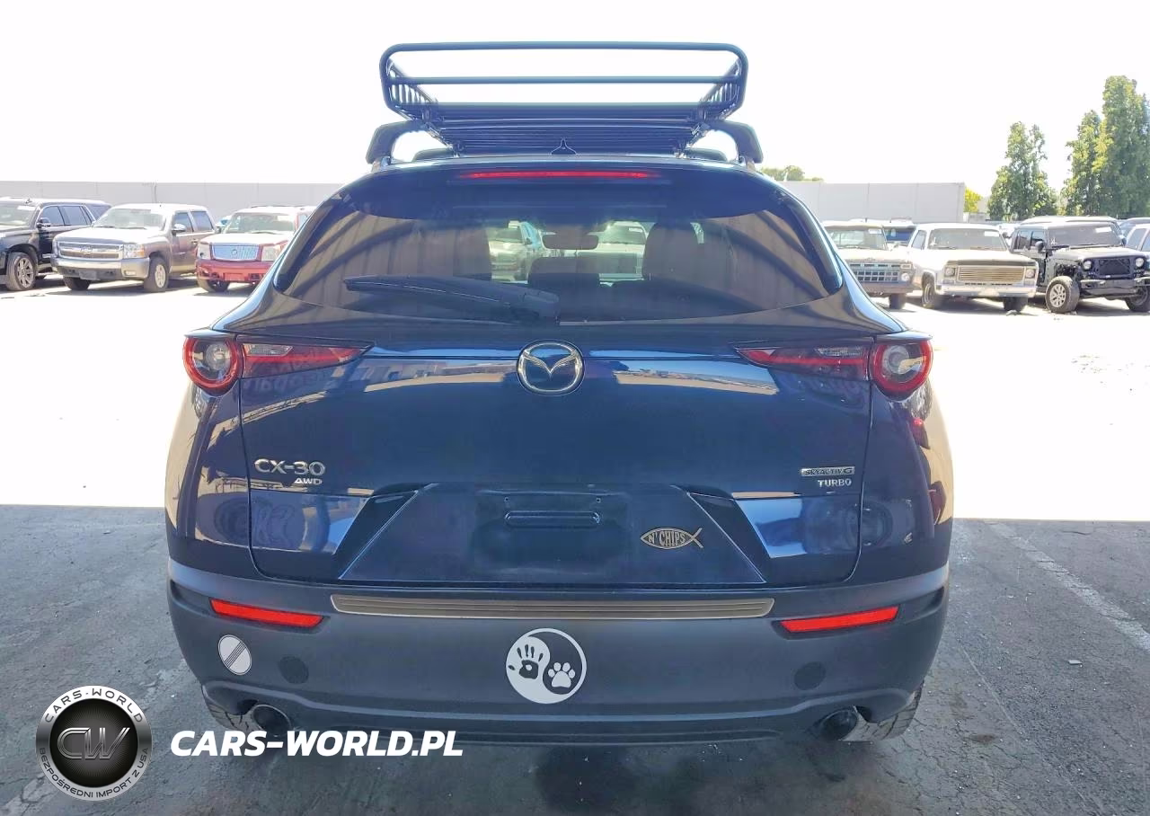2021 Mazda Cx-30 Premium VIN:3MVDMBDY2MM309780 - 6