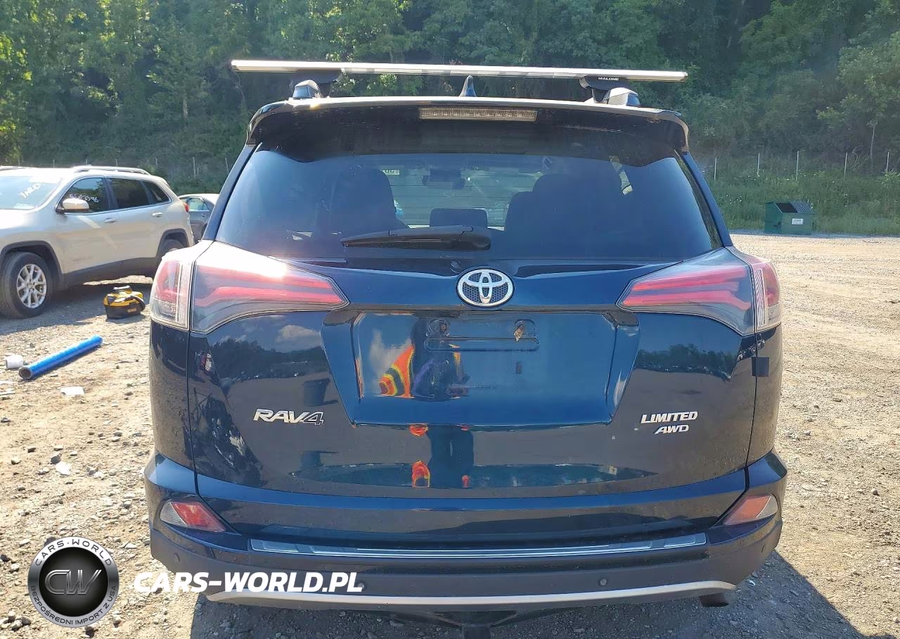 2017 Toyota Rav4 Limited VIN:2T3DFREV1HW578527 - 6