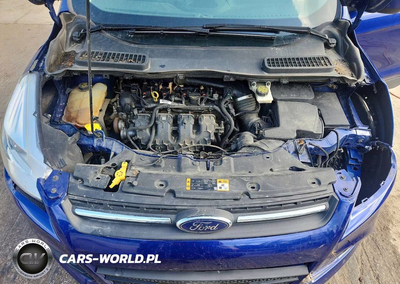 2016 Ford Escape Se VIN:1FMCU9G90GUB70013 - 10