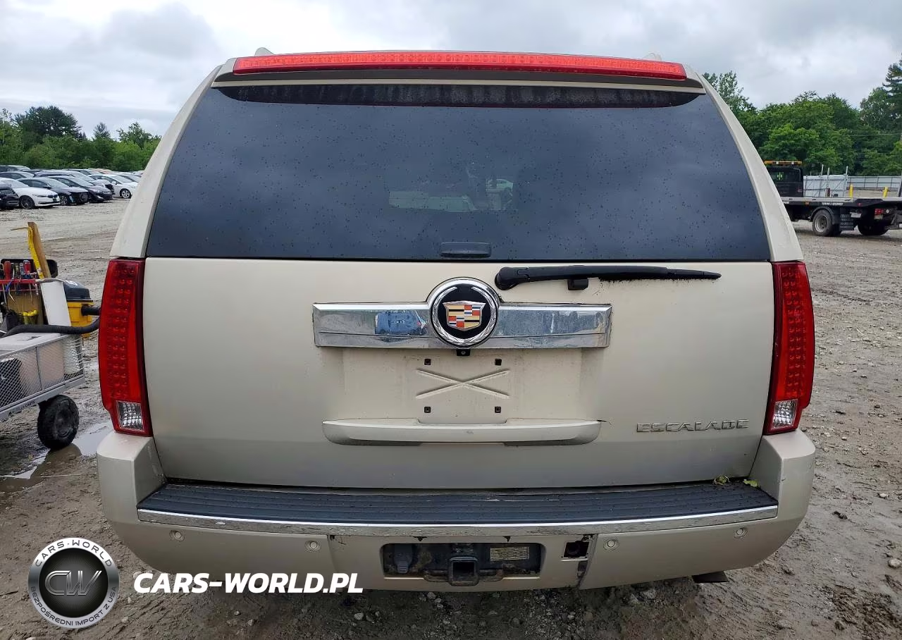 2008 Cadillac Escalade Luxury VIN:1GYFK63818R251278 - 6