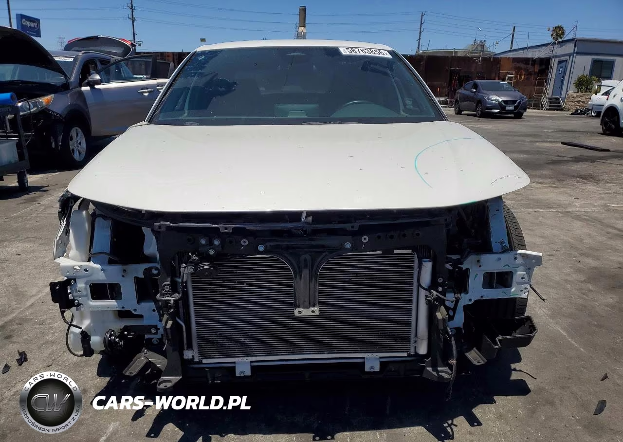 2024 Honda Civic Sport VIN:2HGFE2F50RH564137 - 5