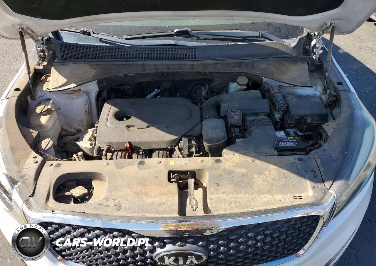 2016 Kia Sorento Lx VIN:5XYPGDA38GG052507 - 12