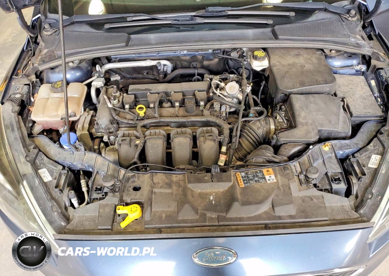 2018 Ford Focus Sel VIN:1FADP3H24JL248925 - 11