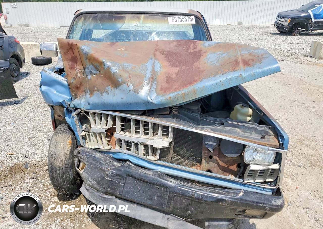 1981 Chevrolet C10 VIN:1GCCC14D9BS182084 - 11