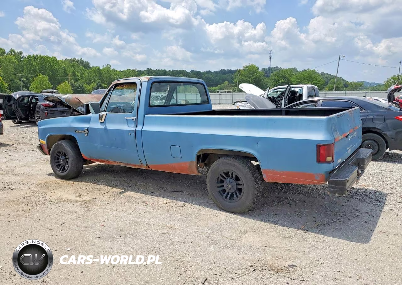 1981 Chevrolet C10 VIN:1GCCC14D9BS182084 - 2