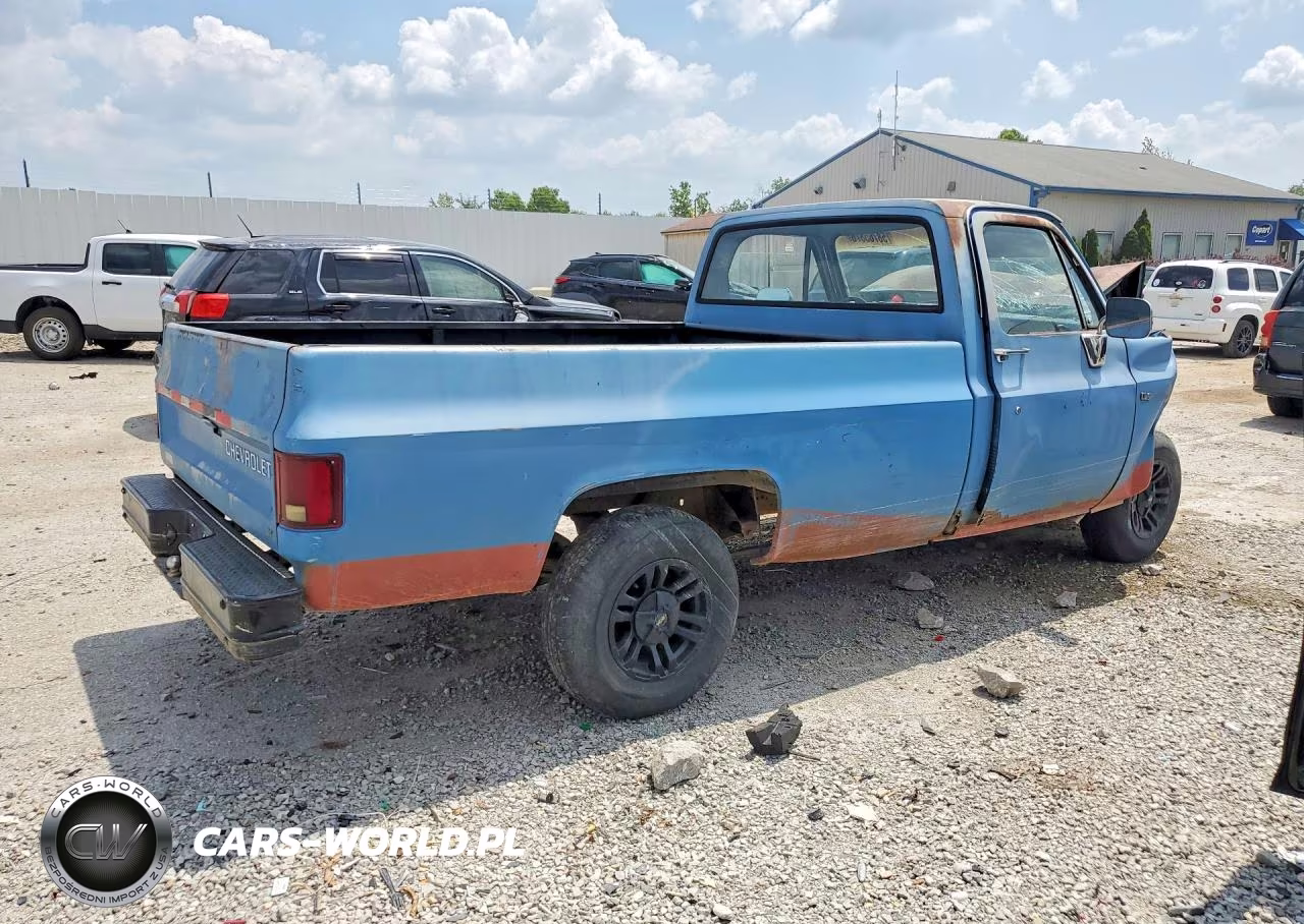 1981 Chevrolet C10 VIN:1GCCC14D9BS182084 - 3