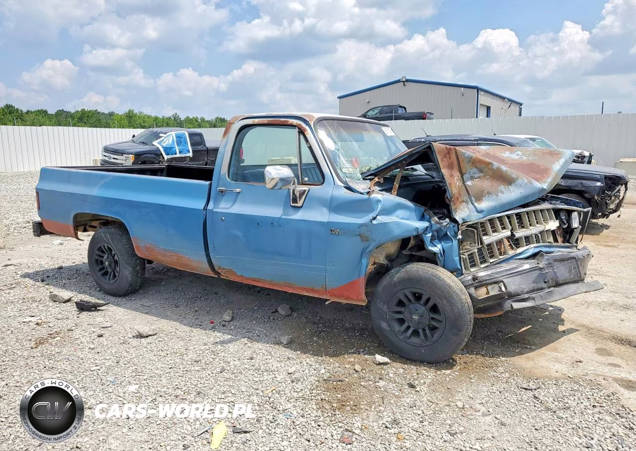 1981 Chevrolet C10 VIN:1GCCC14D9BS182084 - 4
