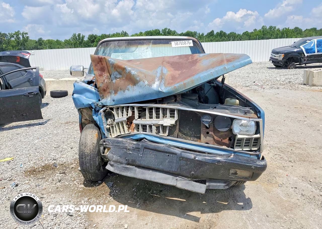 1981 Chevrolet C10 VIN:1GCCC14D9BS182084 - 5