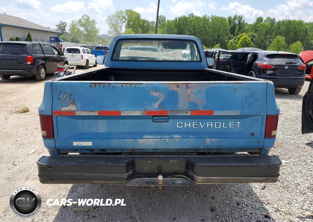 1981 Chevrolet C10 VIN:1GCCC14D9BS182084 - 6