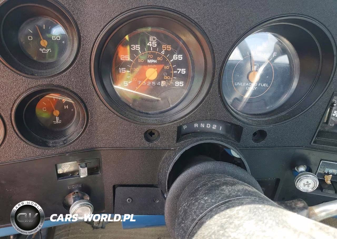 1981 Chevrolet C10 VIN:1GCCC14D9BS182084 - 9