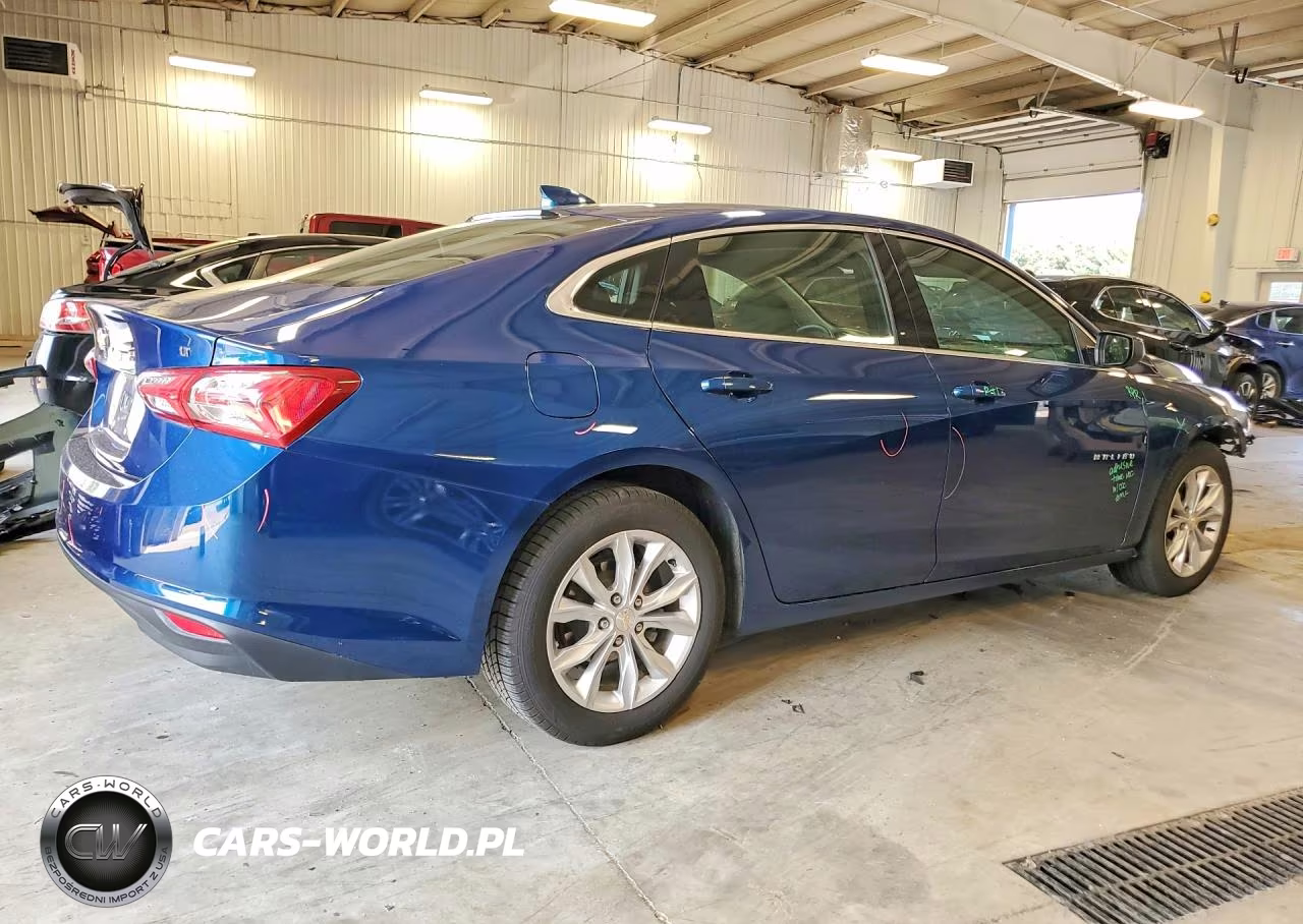2019 Chevrolet Malibu Lt VIN:1G1ZD5ST8KF169112 - 3