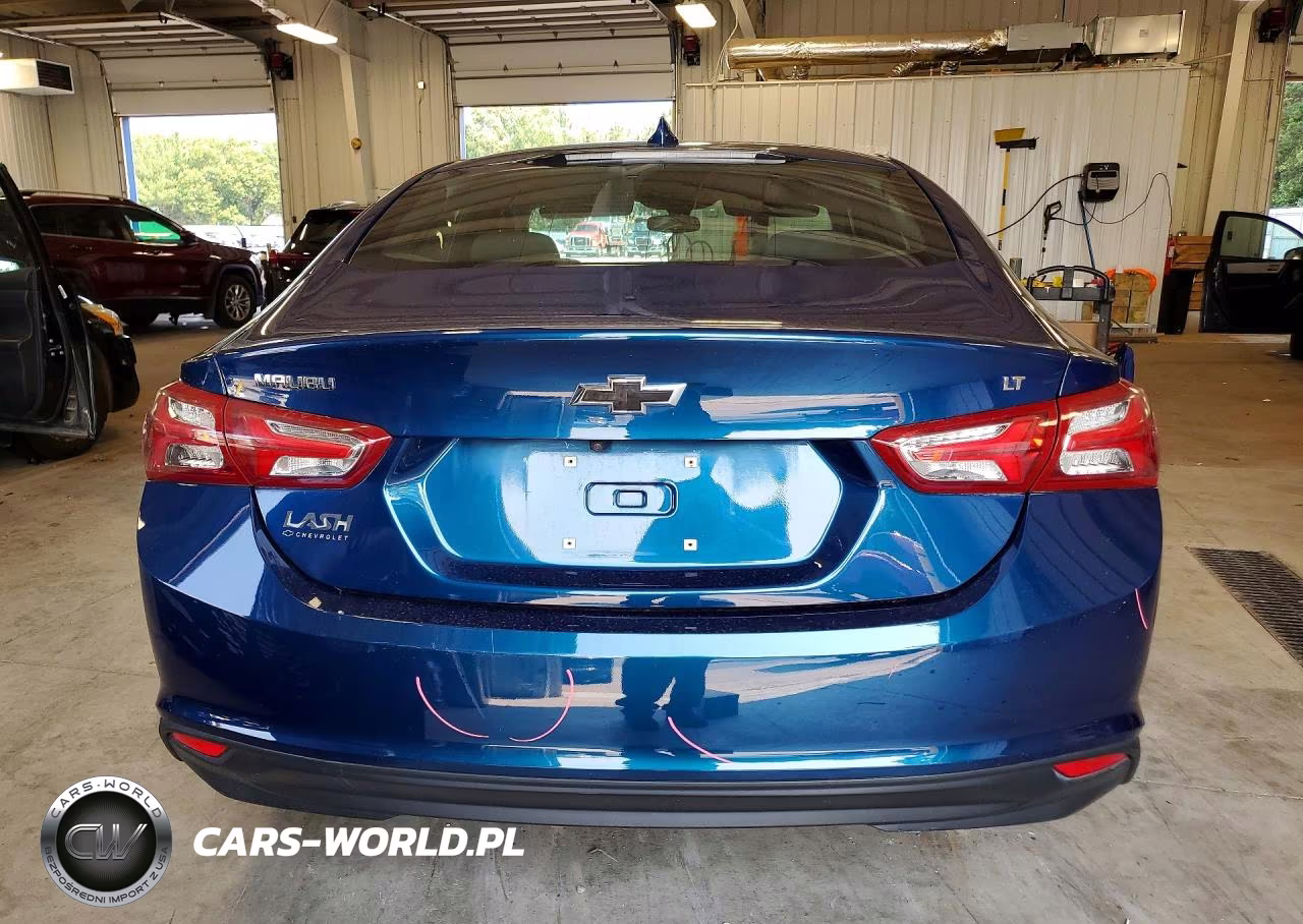 2019 Chevrolet Malibu Lt VIN:1G1ZD5ST8KF169112 - 6