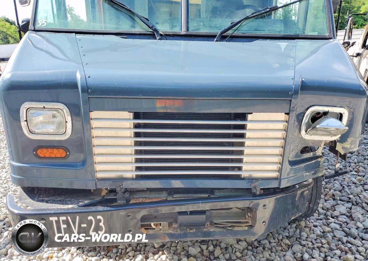 2020 Ford F59 Delivery Truck VIN:1F65F5KN1L0A01191 - 11