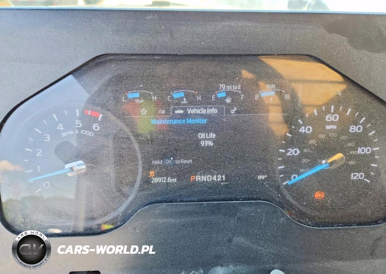 2021 Ford F59 Delivery Truck VIN:1F65F5KN3M0A01503 - 9