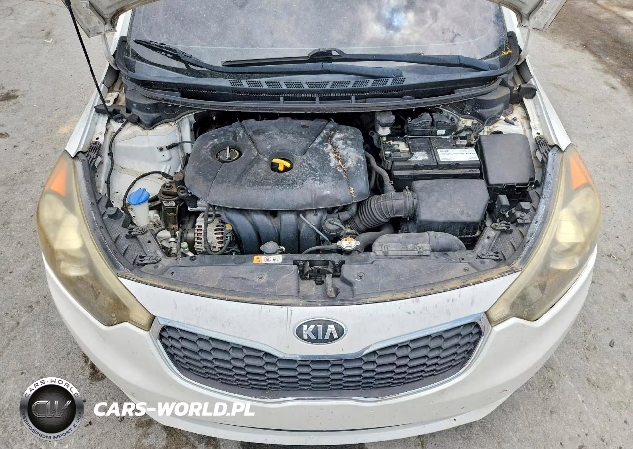 2014 Kia Forte Ex VIN:KNAFX4A89E5052090 - 11