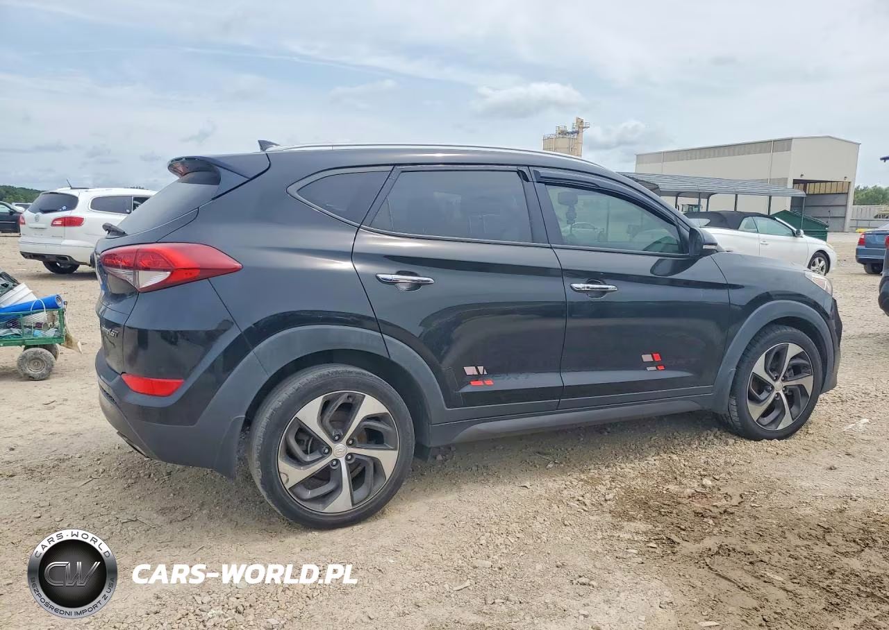 2016 Hyundai Tucson Limited VIN:KM8J33A2XGU146028 - 3