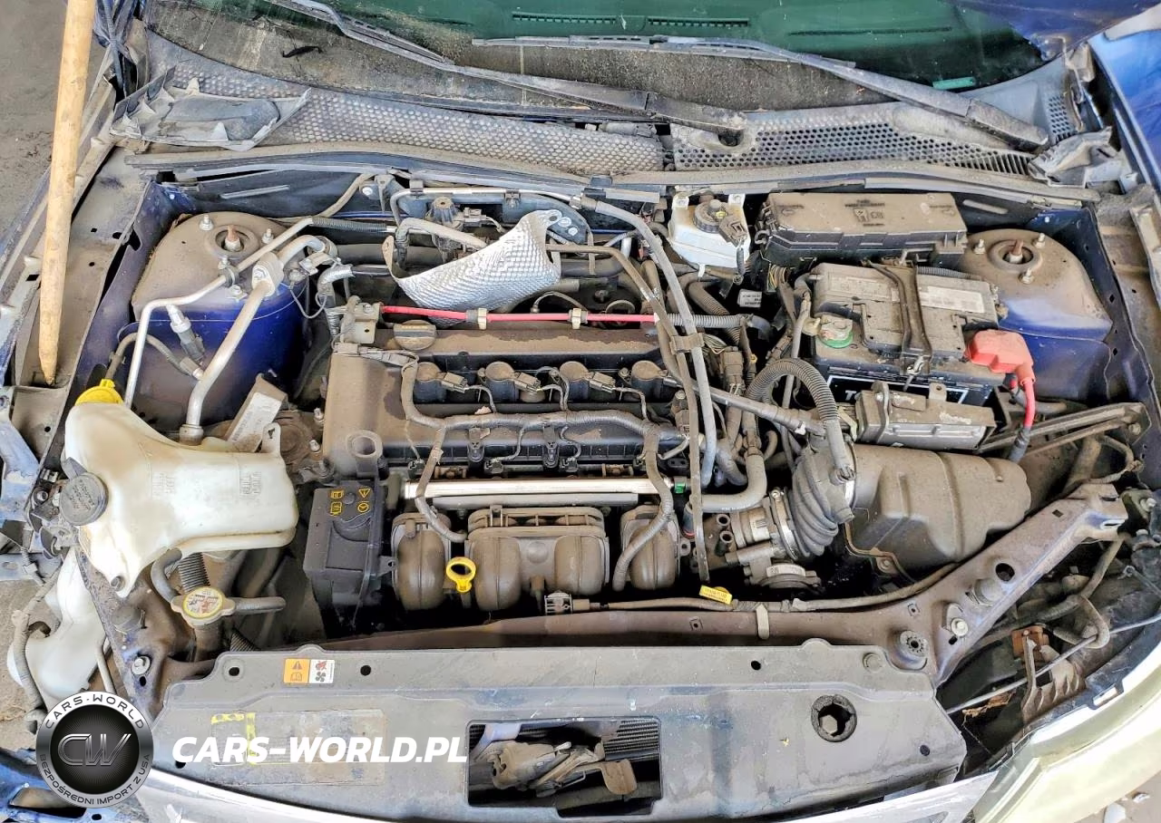 2009 Ford Focus Se VIN:1FAHP35N79W235175 - 11