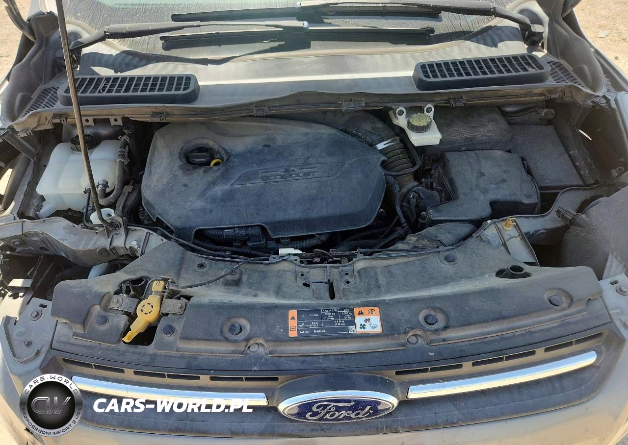 2014 Ford Escape Se VIN:1FMCU0GX3EUC67844 - 12
