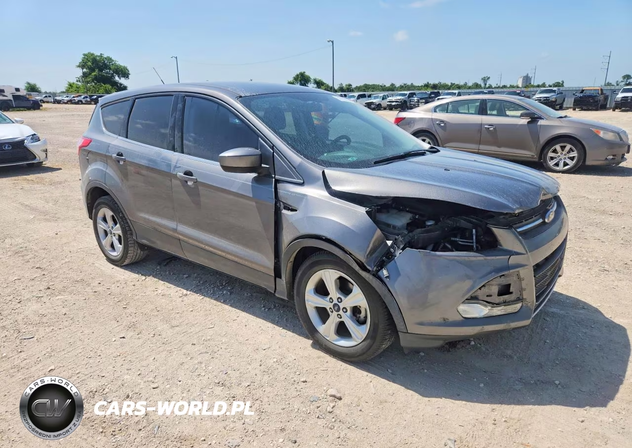 2014 Ford Escape Se VIN:1FMCU0GX3EUC67844 - 4