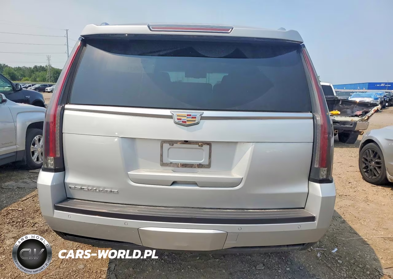 2015 Cadillac Escalade Luxury VIN:1GYS4MKJ6FR546018 - 6